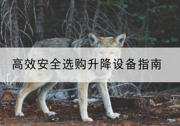 淄川升降货梯厂家推荐-*安全选购升降设备指南