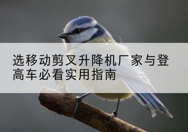 淄川电动升降机厂家-选移动剪叉升降机厂家与登高车必看实用指南