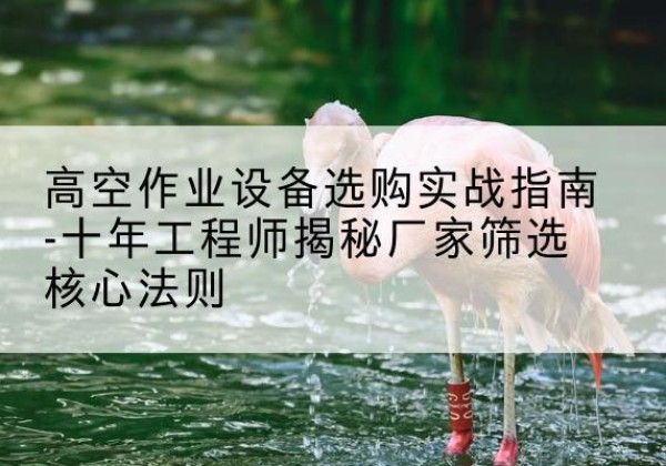 淄川剪叉式升降机厂家-高空作业设备选购实战指南-十年工程师揭秘厂家筛选核心法则